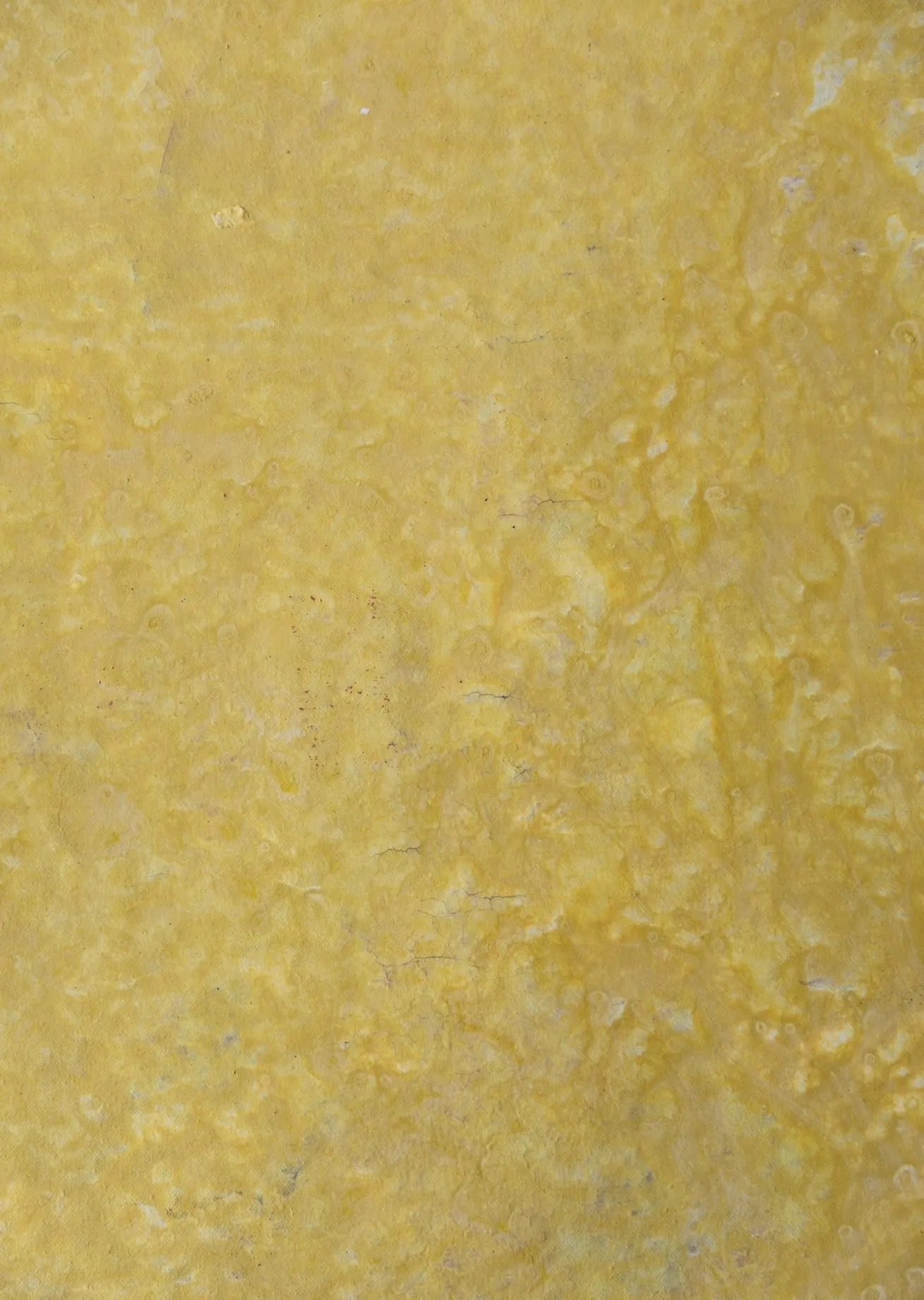 Citron Plasters #0468 // Hand-Painted Flatlay Surface