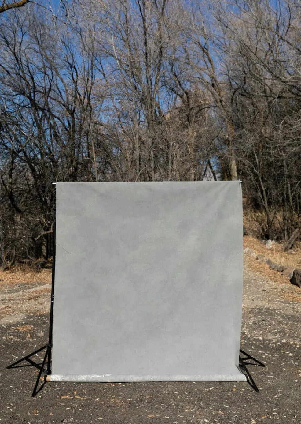 Gray Matter #0066 // *Odd Large Hand-Painted Canvas Backdrop Painting