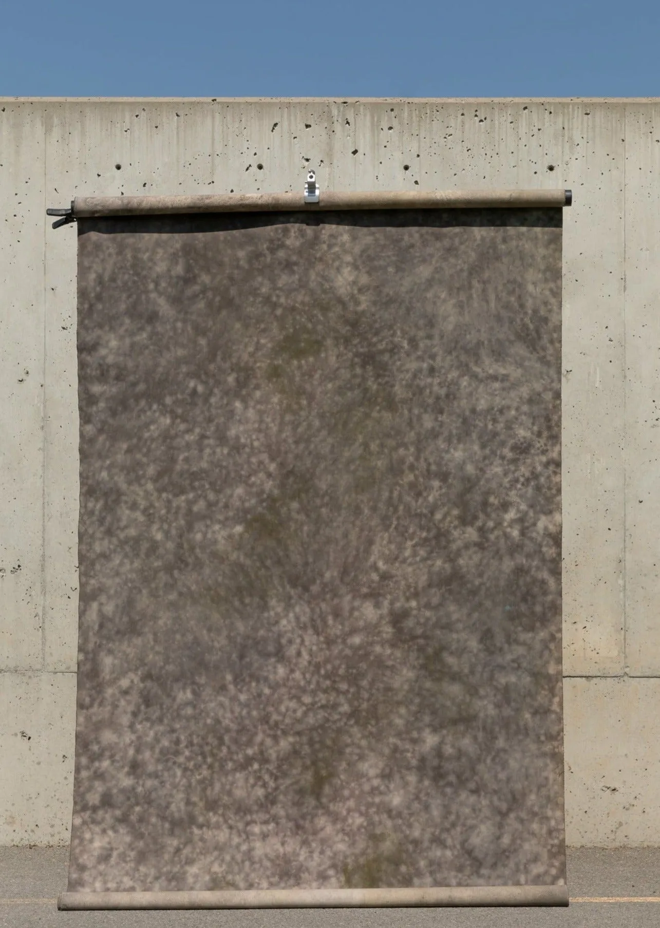 Mycelial #0266 Large  Hand-Painted Canvas Backdrop