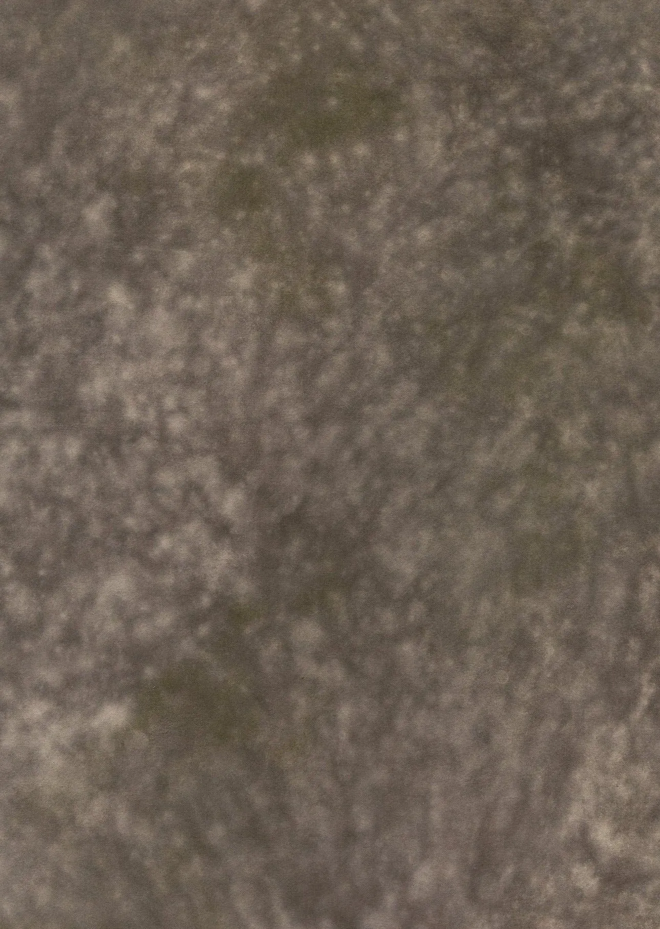 Mycelial #0266 Large  Hand-Painted Canvas Backdrop