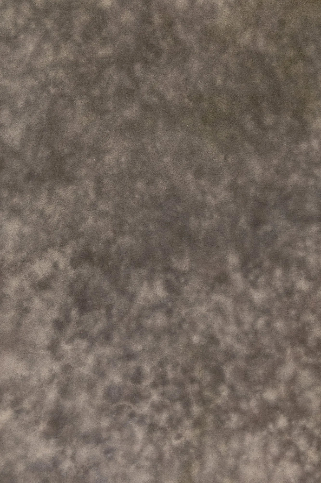 Mycelial #0266 Large  Hand-Painted Canvas Backdrop